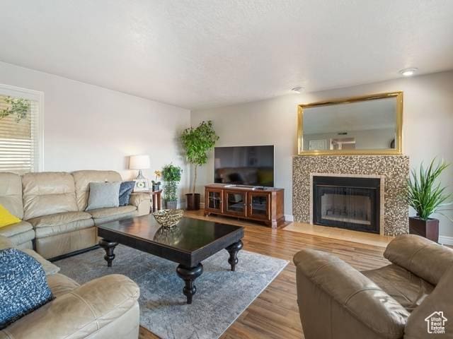 living area with a fireplace and wood finished floors