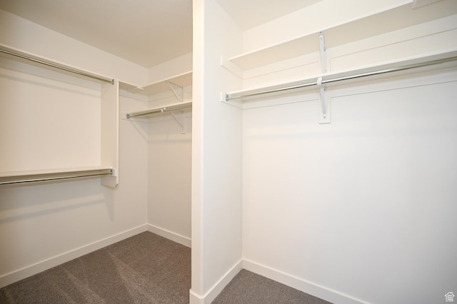 578 S 1080 W, American Fork, UT 84003 - spacious closet with dark colored carpet