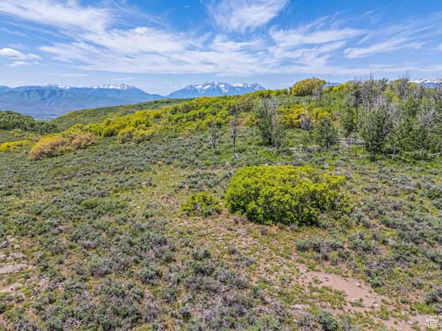 7367 E Forest Creek Rd Unit 29, Heber City, UT 84032