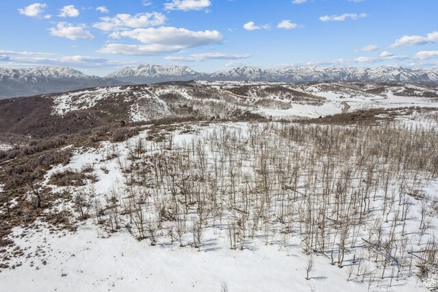 7367 E Forest Creek Rd Unit 29, Heber City, UT 84032