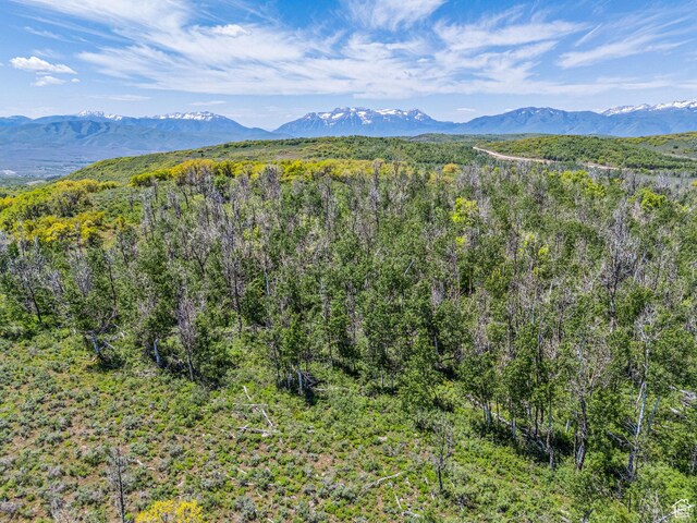 7367 E Forest Creek Rd Unit 29, Heber City, UT 84032