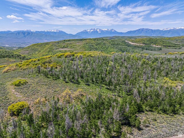 7367 E Forest Creek Rd Unit 29, Heber City, UT 84032