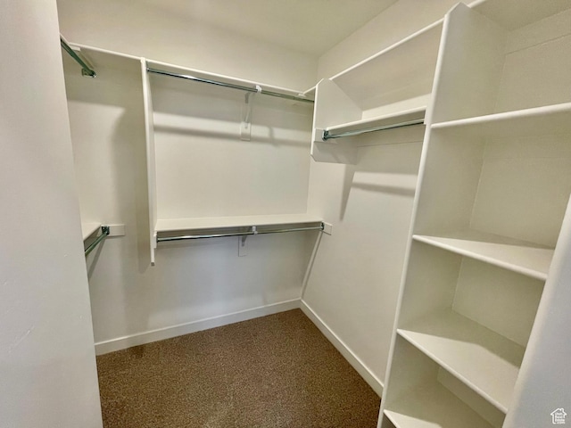 spacious closet with dark colored carpet