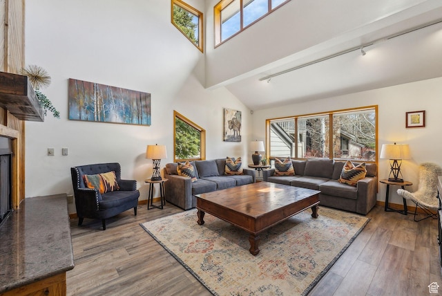 1450 Deer Valley Dr N, Park City, UT 84060 - living room with plenty of natural light, light wood-style flooring, and track lighting