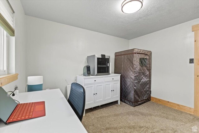 400 S 300 E, Pleasant Grove, UT 84062 - home office featuring baseboards, carpet, and a textured ceiling