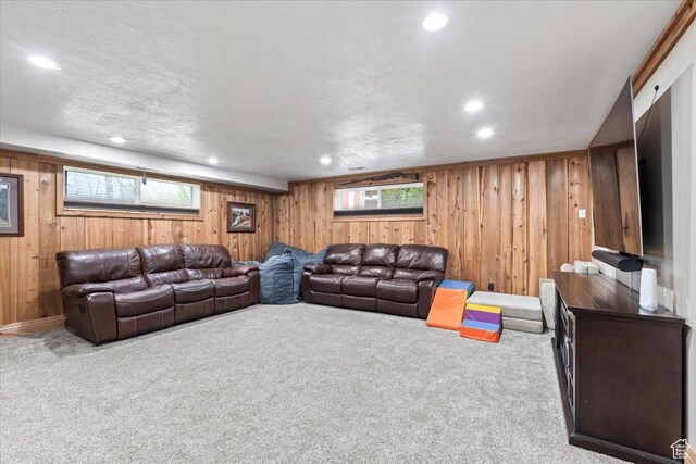 400 S 300 E, Pleasant Grove, UT 84062 - living room featuring wooden walls, carpet, and recessed lighting