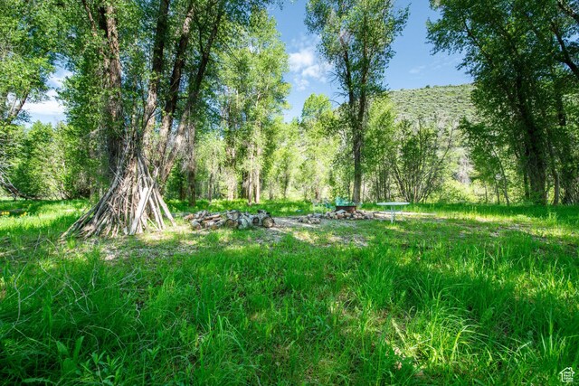 5050 E Weber Canyon Rd, Oakley, UT 84055 - photo 33