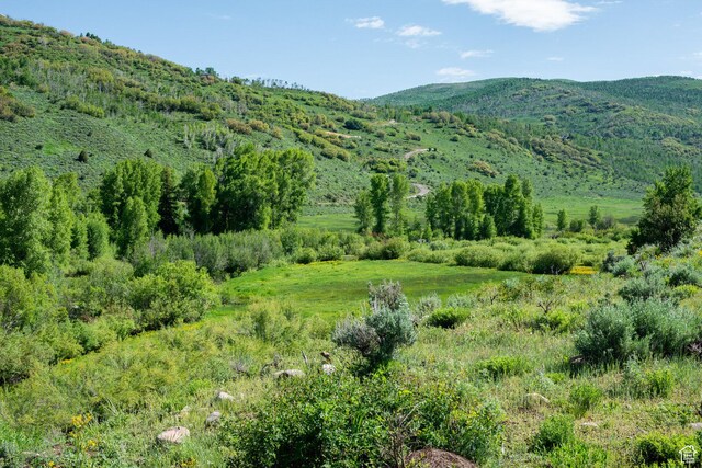 5050 E Weber Canyon Rd, Oakley, UT 84055 - photo 46