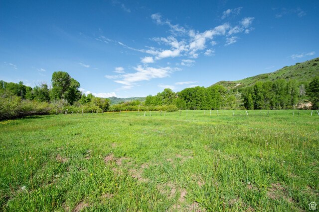 5050 E Weber Canyon Rd, Oakley, UT 84055 - photo 31