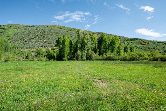 5050 E Weber Canyon Rd, Oakley, UT 84055 - photo 32