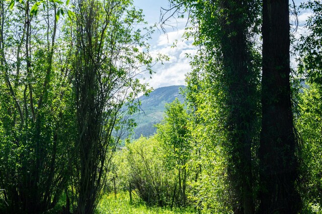 5050 E Weber Canyon Rd, Oakley, UT 84055 - photo 40