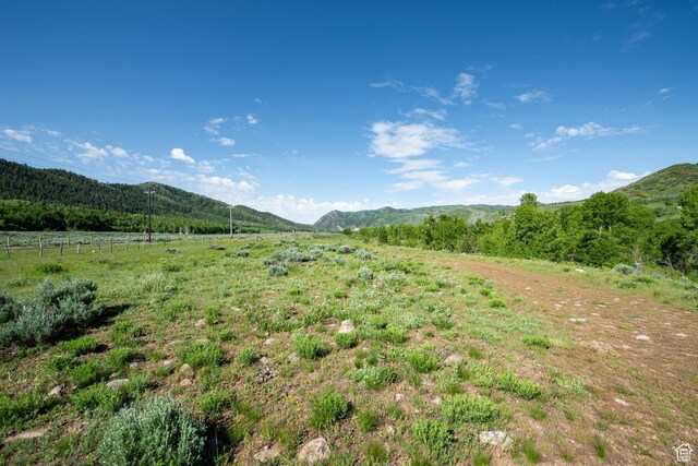 5050 E Weber Canyon Rd, Oakley, UT 84055 - photo 23