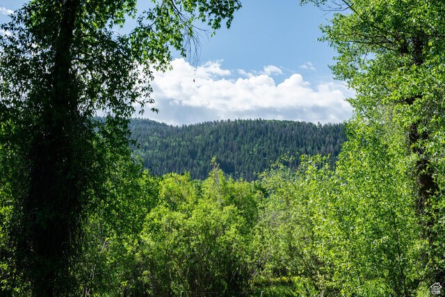 5050 E Weber Canyon Rd, Oakley, UT 84055 - photo 41