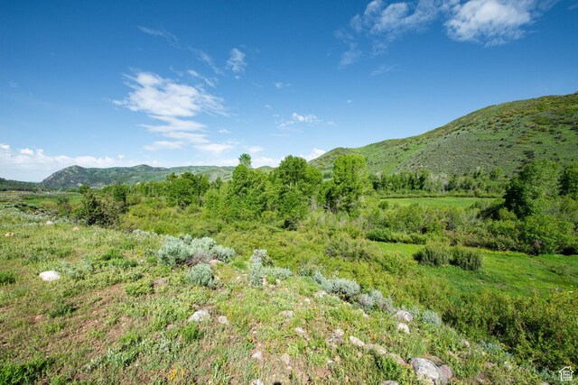 5050 E Weber Canyon Rd, Oakley, UT 84055 - photo 28