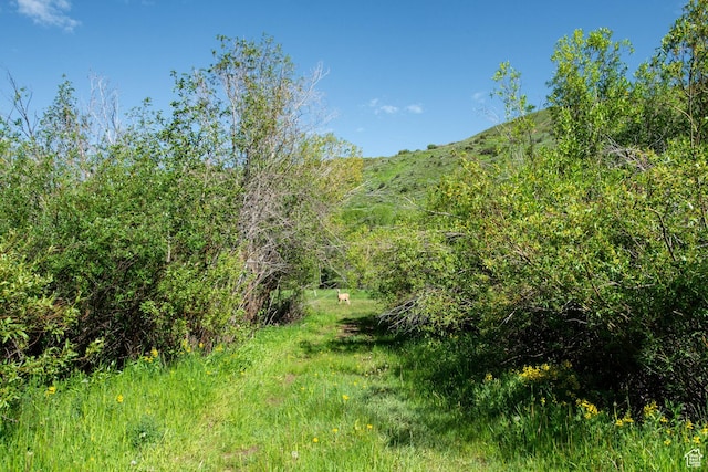 5050 E Weber Canyon Rd, Oakley, UT 84055 - photo 35