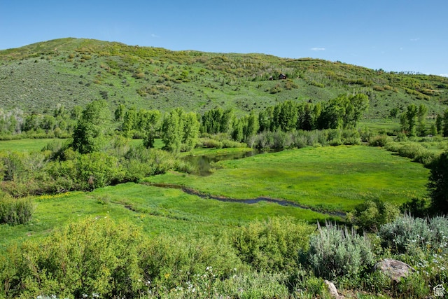 5050 E Weber Canyon Rd, Oakley, UT 84055 - photo 10