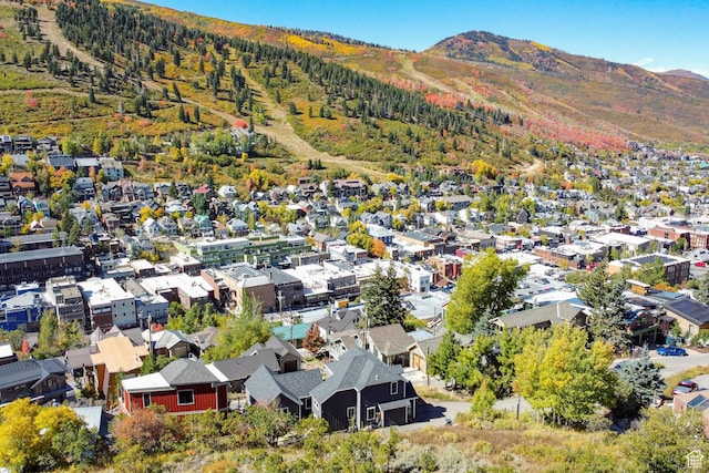 257 Mchenry Ave, Park City, UT 84060 - photo 43
