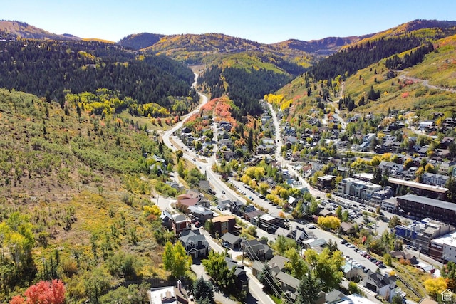 257 Mchenry Ave, Park City, UT 84060 - photo 48