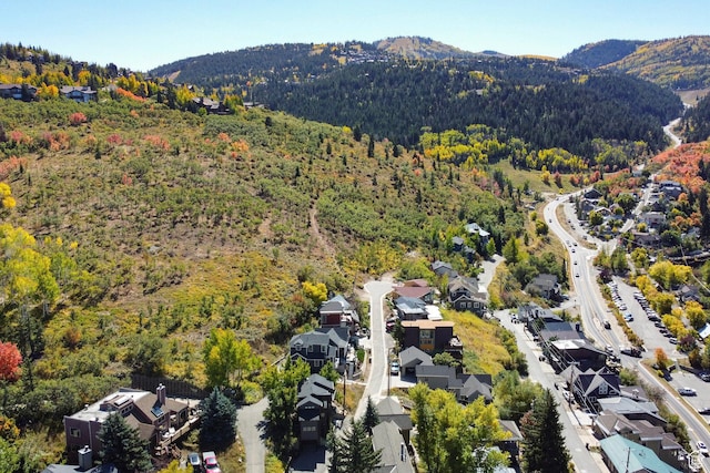 257 Mchenry Ave, Park City, UT 84060 - photo 47