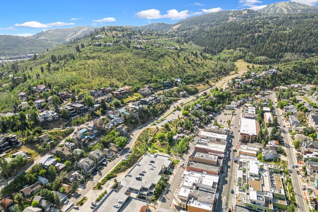257 Mchenry Ave, Park City, UT 84060 - photo 41