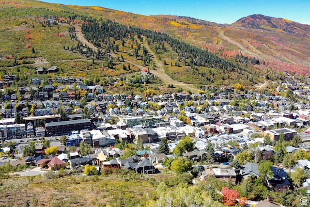 257 Mchenry Ave, Park City, UT 84060 - photo 49
