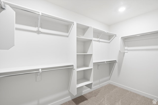 1345 N Harper Way Unit 0250, Tooele, UT 84074 - spacious closet with carpet