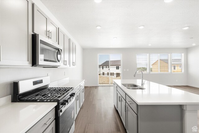 1345 N Harper Way Unit 0250, Tooele, UT 84074 - kitchen featuring stainless steel appliances, gray cabinets, wood finished floors, light countertops, and a center island with sink