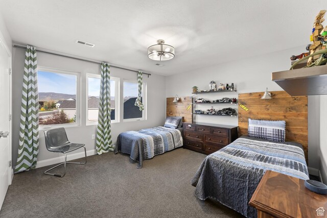 2154 E 1340 S, Heber City, UT 84032 - bedroom featuring carpet flooring, baseboards, and visible vents
