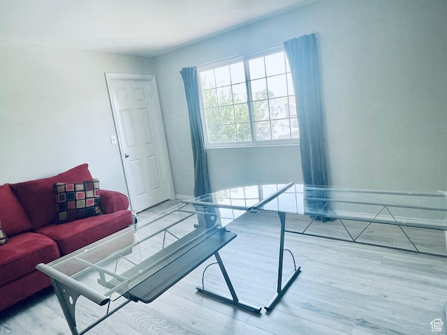 living room featuring wood finished floors