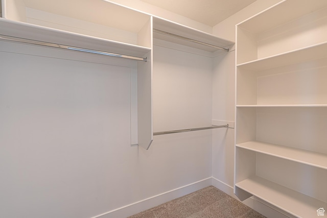 1038 W 2260 S Unit 105, Nibley, UT 84321 - walk in closet featuring carpet