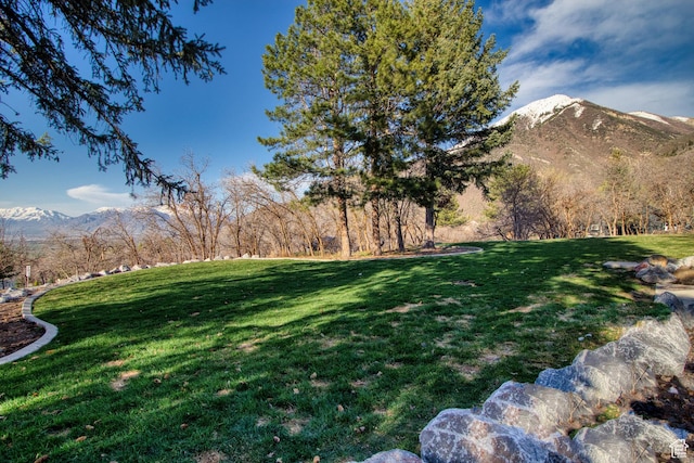 740 S Woodland Hills Dr, Woodland Hills, UT 84653