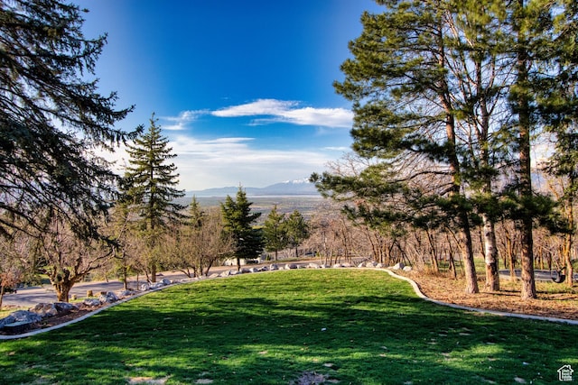 740 S Woodland Hills Dr, Woodland Hills, UT 84653