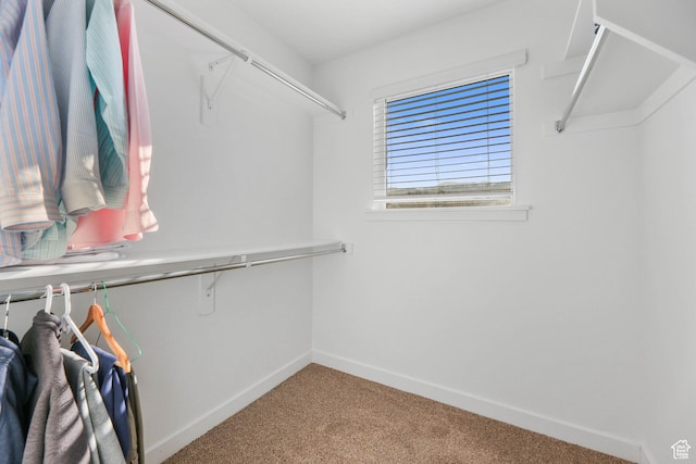 25 E Center Unit 10, North Salt Lake, UT 84054 - walk in closet featuring carpet flooring