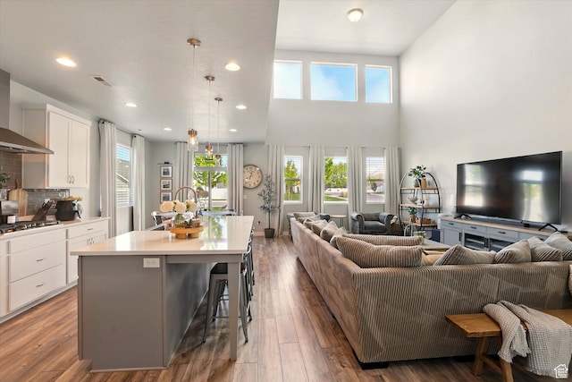 254 W 720 S, American Fork, UT 84003 - kitchen featuring open floor plan, stainless steel gas stovetop, white cabinets, an island with sink, and light countertops