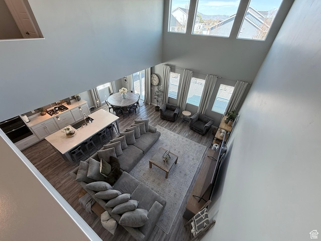 living area featuring a towering ceiling and wood finished floors