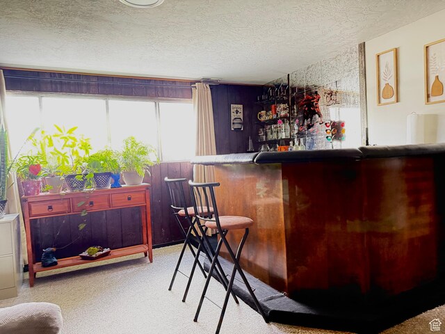 24 S 400 W, Kaysville, UT 84037 - bar featuring a bar, a textured ceiling, and carpet flooring