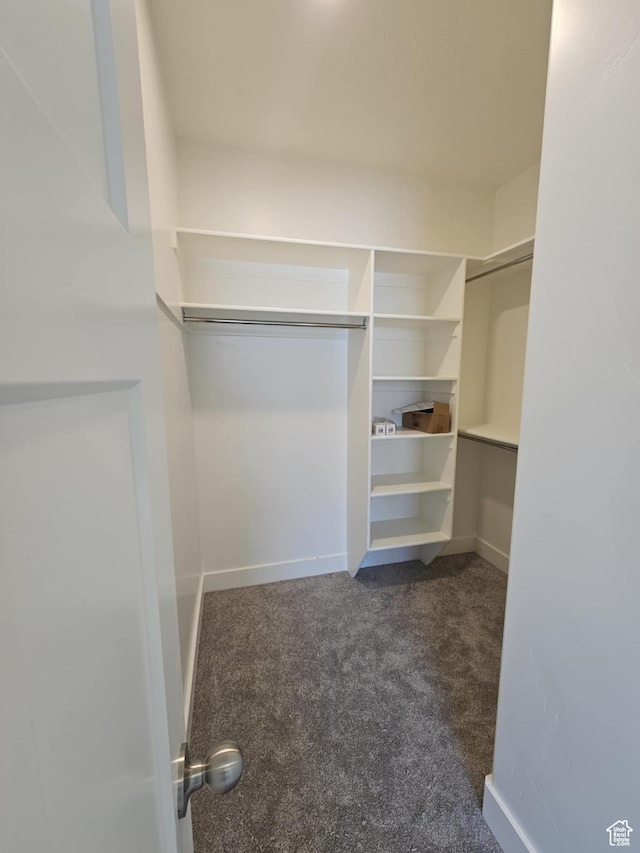 1628 S 3170 E, Spanish Fork, UT 84660 - walk in closet featuring carpet floors