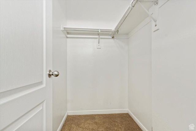 171 S Carrick Dr, Salt Lake City, UT 84115 - walk in closet with carpet flooring