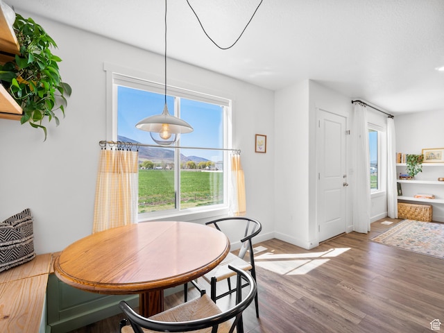dining space featuring baseboards and wood finished floors