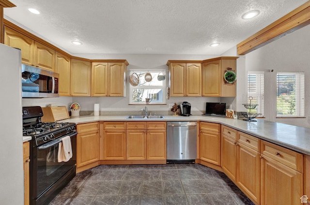 9906 E Lake Pines Dr Unit 1187, Heber City, UT 84032 - kitchen featuring a sink, stainless steel appliances, a textured ceiling, light countertops, and marble finish floor