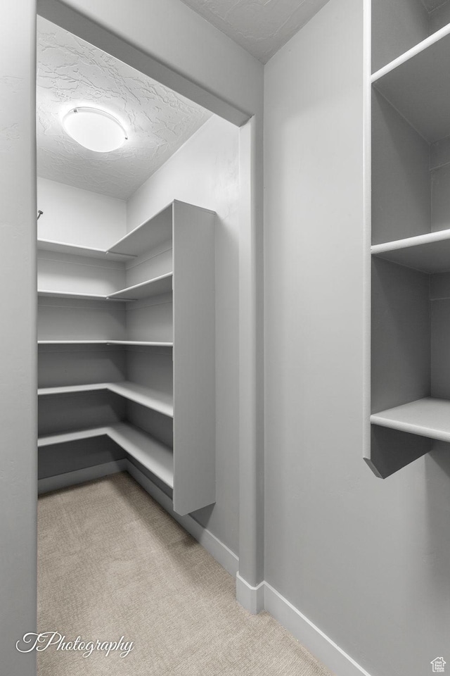spacious closet featuring carpet flooring