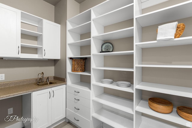 pantry featuring a sink