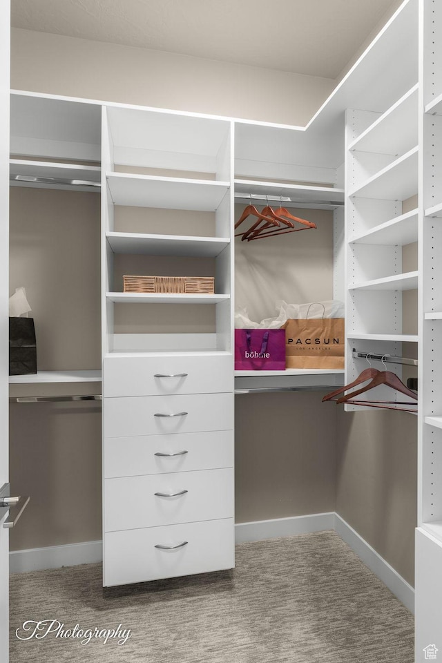 spacious closet with carpet floors