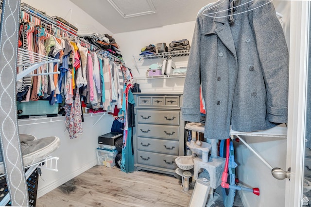 1113 W 160 N, Pleasant Grove, UT 84062 - walk in closet featuring attic access and wood finished floors
