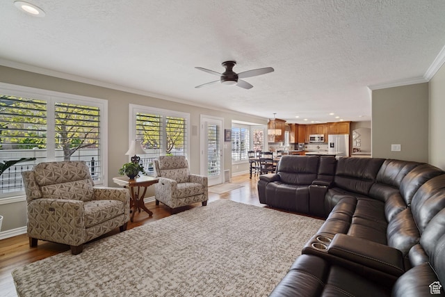 1778 E Indian Wells Ln, Draper, UT 84020 - living area featuring crown molding, ceiling fan, a textured ceiling, light wood-type flooring, and baseboards
