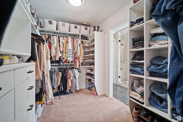 1778 E Indian Wells Ln, Draper, UT 84020 - walk in closet with carpet