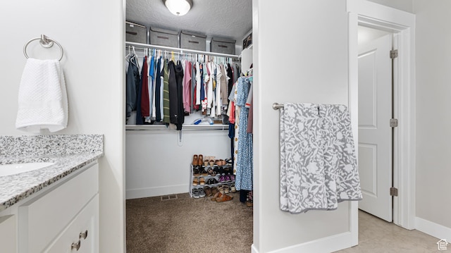 walk in closet featuring a sink