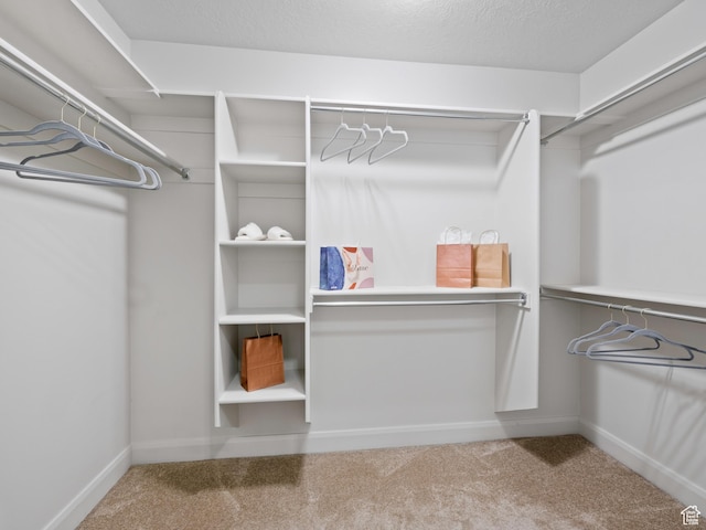 1262 S 50 E Unit 3, Lehi, UT 84043 - spacious closet with carpet