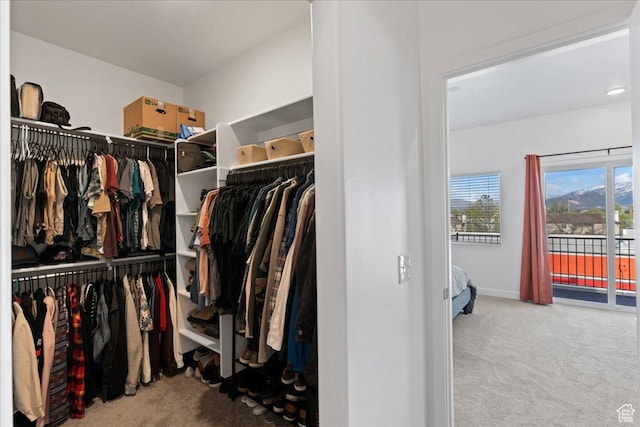 spacious closet featuring carpet flooring
