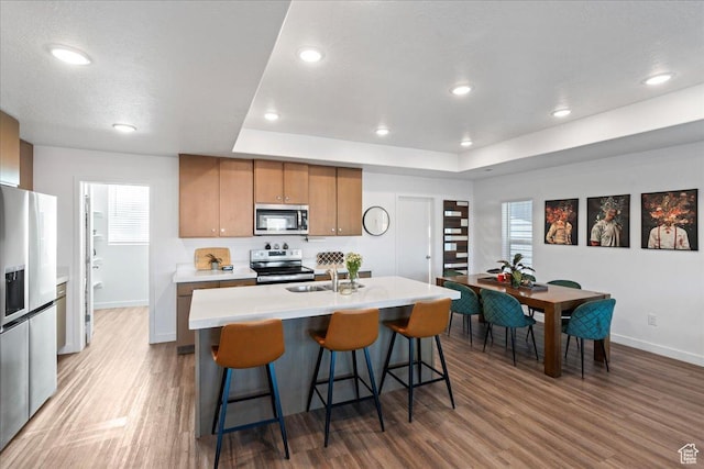 kitchen with wood finished floors, baseboards, a sink, and appliances with stainless steel finishes